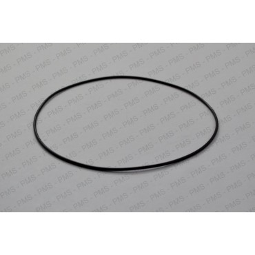 CARRARO O-RING - TEF...