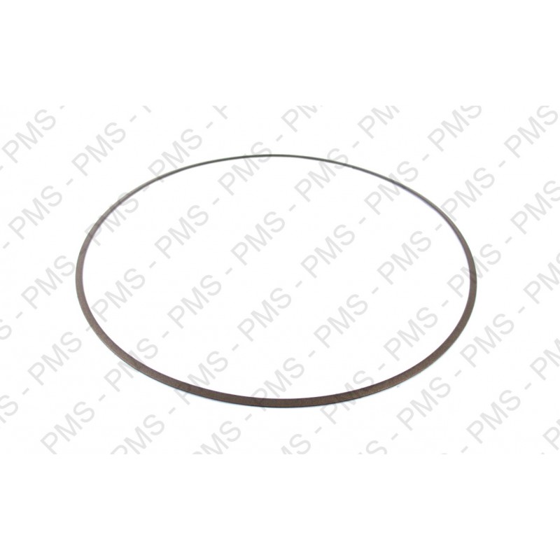 ZF 0734 317 326 SUPPORT RING