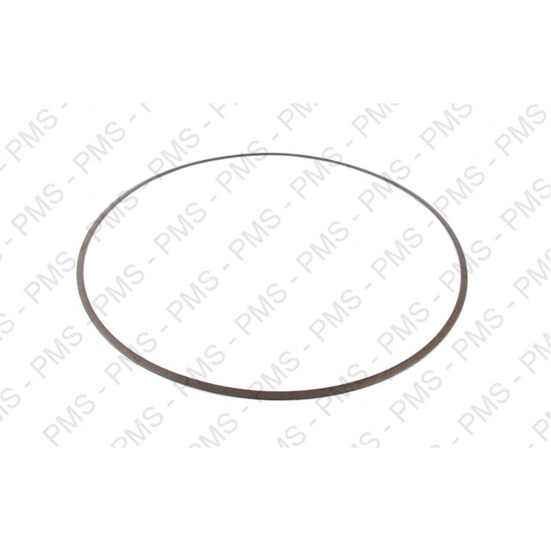 ZF 0734 317 327 SUPPORT RING